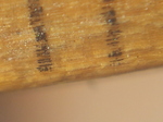 20131102_131932 Millimeter marks on ruler.jpg